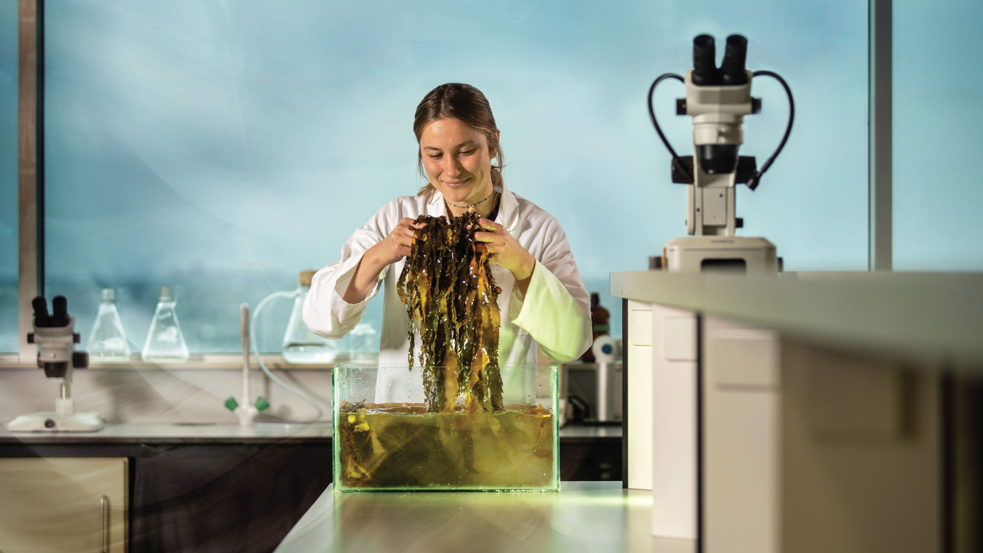 Lisa Wolf researching seaweed at the Wellington University Coastal Ecology Lab