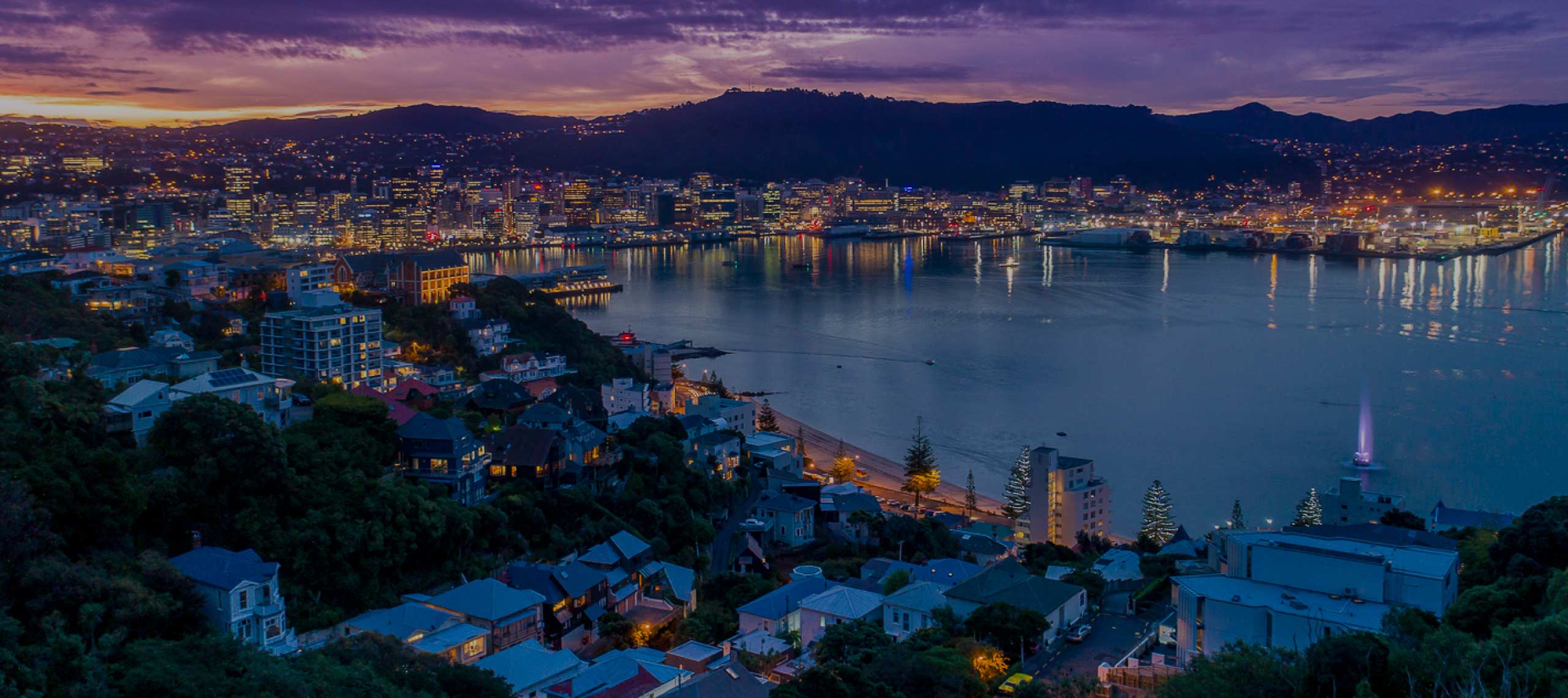 A night time photograph of a harbour city with the words, Wellington Sep 8, 2023, Slush'D.
